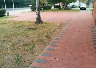 IMG 20160921 073315 1 scaled